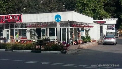 Цветы лазаревское ярославль