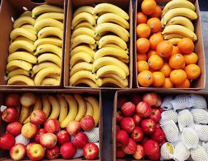 Gpo best fruit