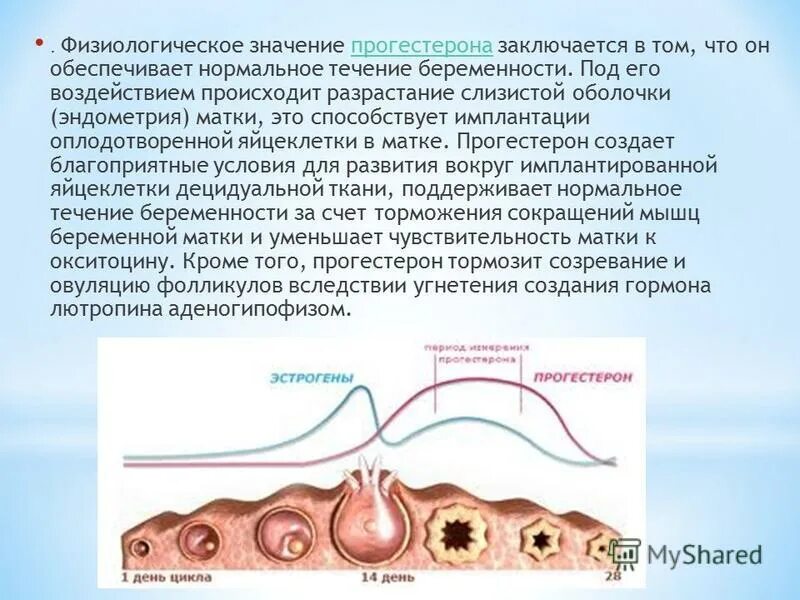 Прогестерон в слюне