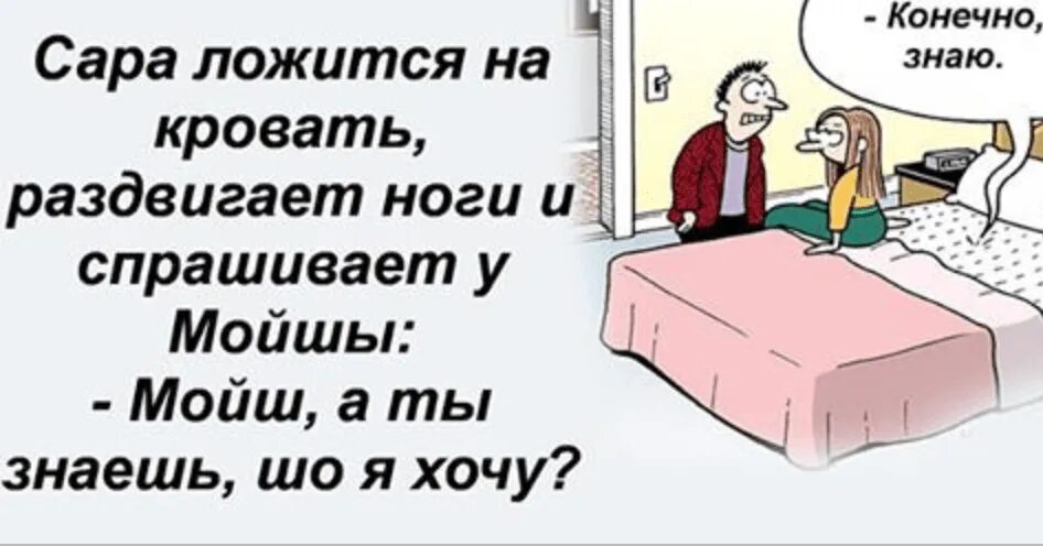 Анекдоты про Сару. Анекдоты про кровать. Анекдоты про Мойшу и Сару.