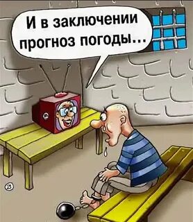 Зона приколы