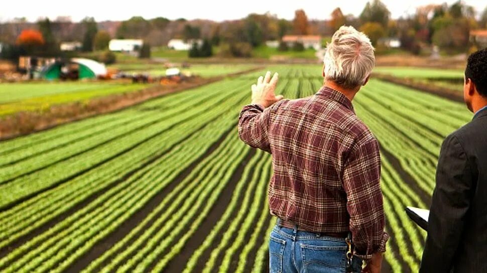 труд в сельском хозяйстве. сарай для домашних животных. конашенков александр иванович. мужчина в теплице. стайка для кроликов.