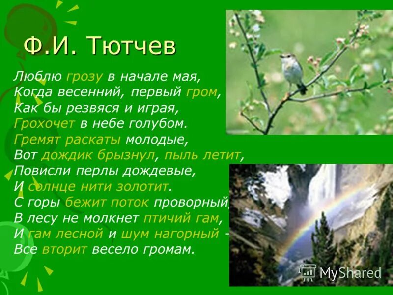 Стихотворение весенняя гроза ф тютчев. Люблю грозу в начале мая. Люблю грозу в начале ма. Люблю грозу\у Вт началке мч. Люблю весну в начале мая стих.