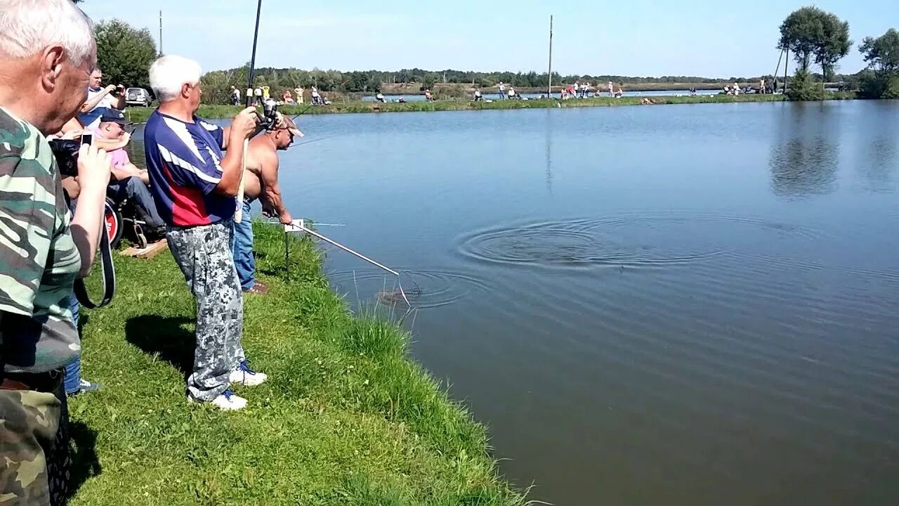 Рыбхоз осёнка Коломенский. Осенка Рыбхоз Коломна. Коломна Рыбхоз Осенка рыбалка. Коломна Осенка Осенка Рыбхоз. Организованная рыбалка