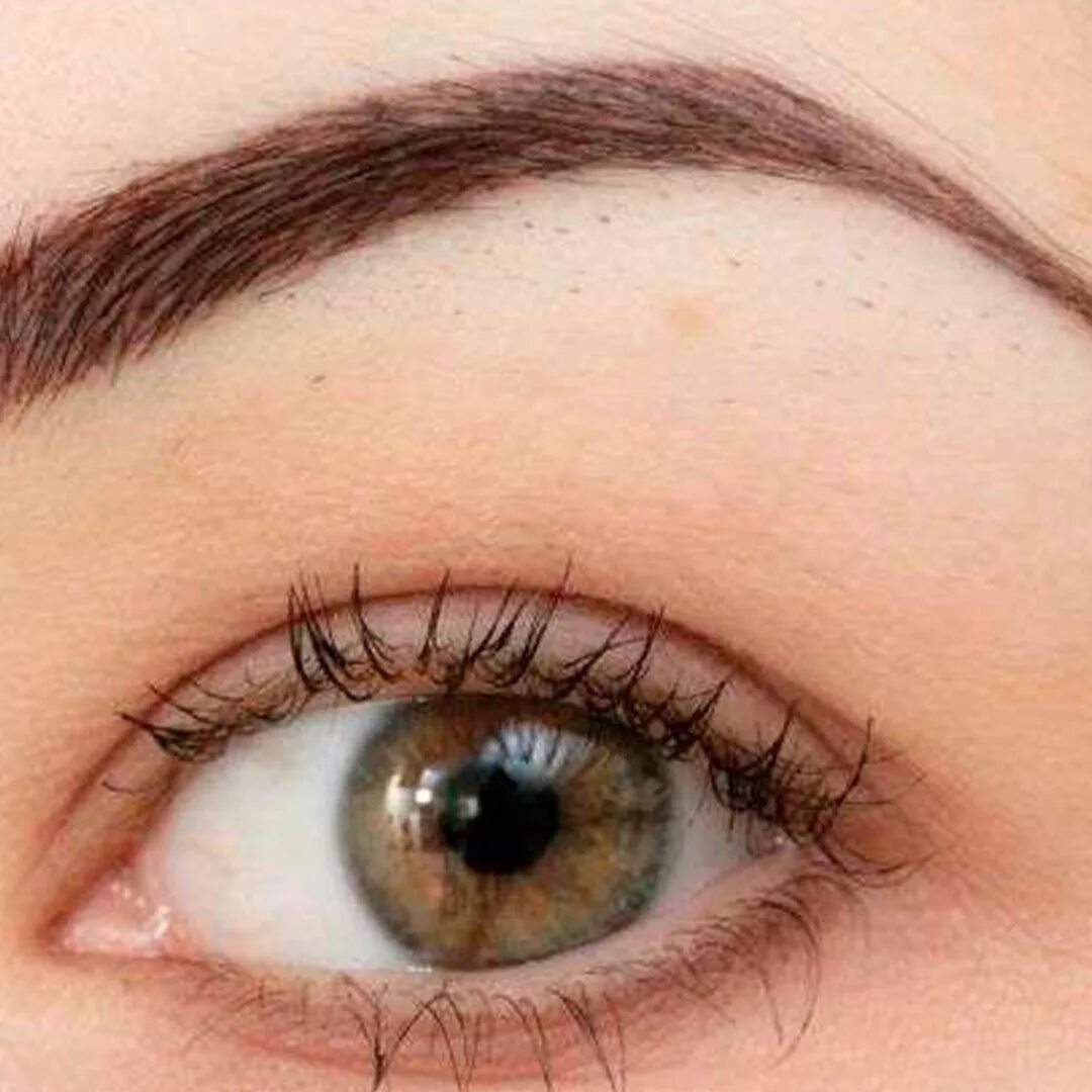 растушевка бровей. растушевка бровей. татуаж бровей теневая растушевка. модели на перманентный макияж бровей. перманент бровей волосковая техника.