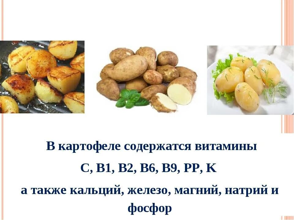 Сколько есть картошкой. Картофель какие витамины содержит. Какие витамины содержатся в картофеле. Витамины в картофеле вареном. Витамины содержащиеся в картошке.