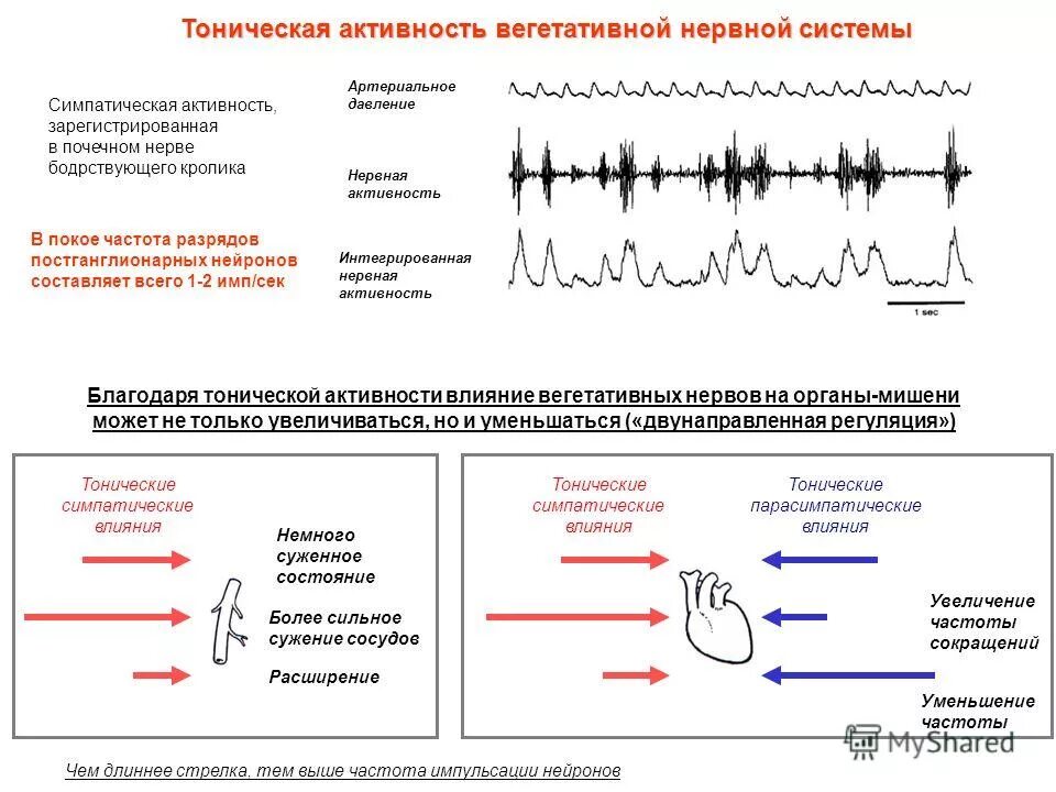 Повышение давления при стрессе. Стресс и артериальная гипертензия. При нервах давление повышается. Стресс при артериальной гипертензии. Стресс влияет на здоровье.
