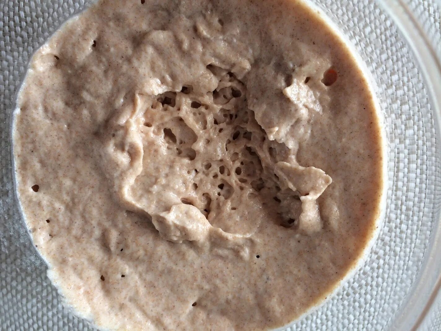 хлеб на закваске. ржаная закваска. опара ржаная на закваске. закваска ржаная бездрожжевая. деревенский квас из ржаной муки на закваске.