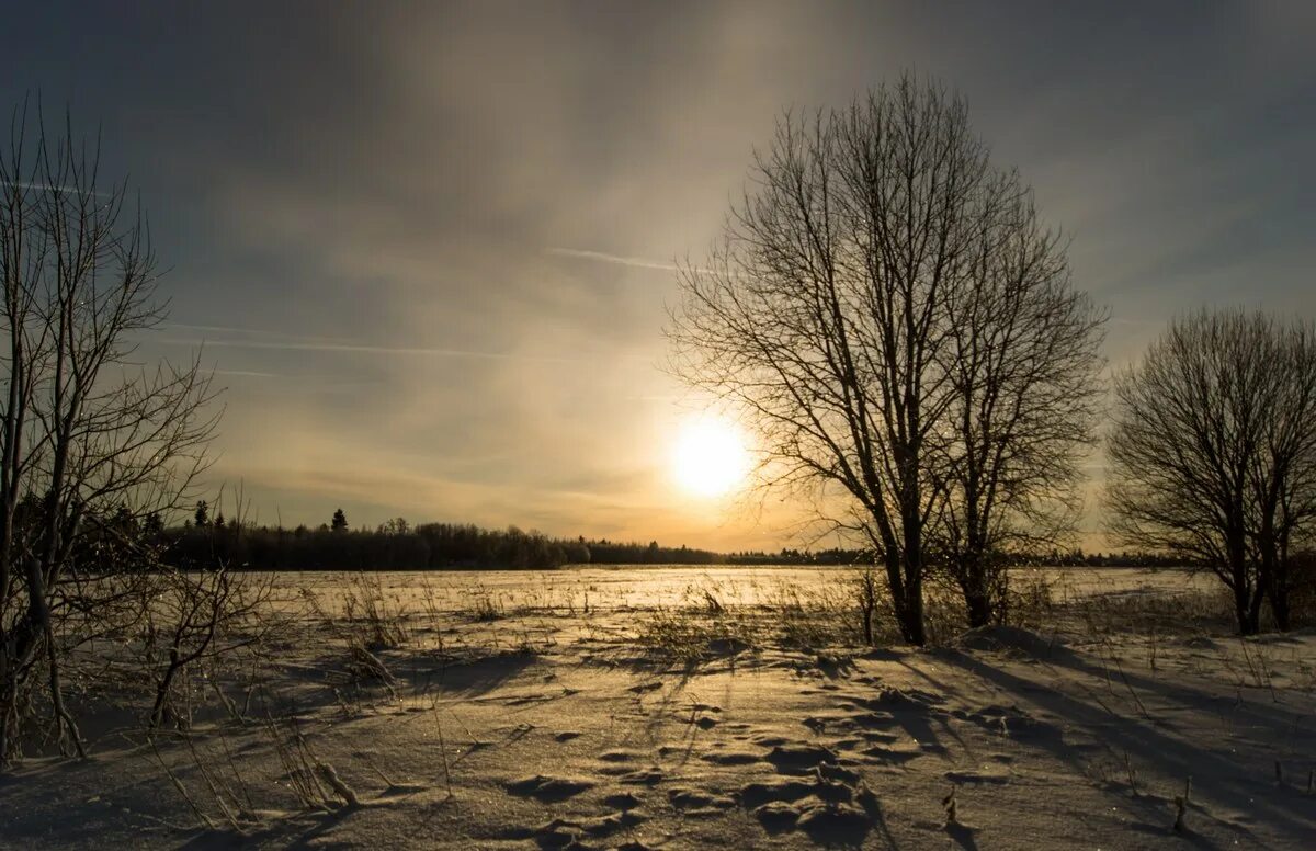 поле зимой. снежное поле. короткий день фото. зимнее поле квадрат. русское поле зимой.