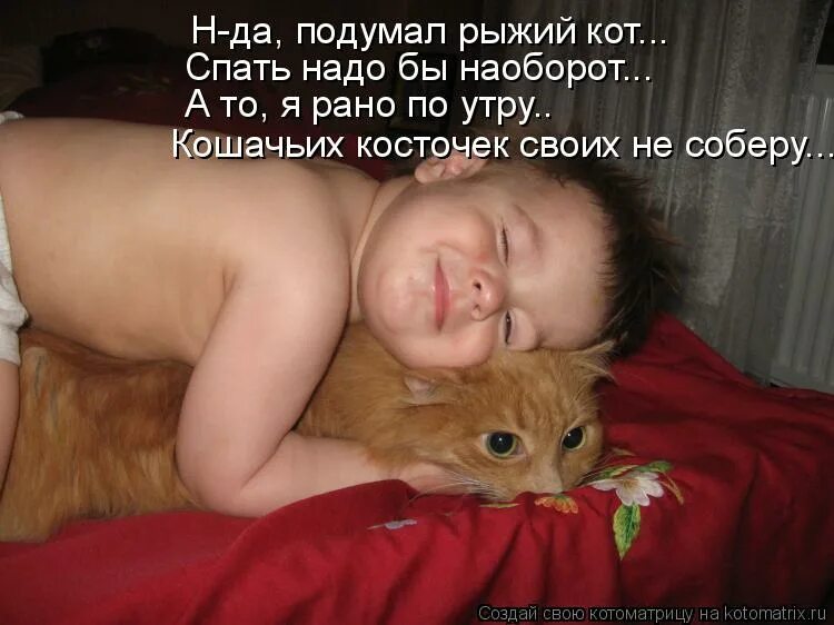 Кот терпит. Мурзик рыжий котёнок. Мурзик Мем. Мальчик с рыжим котом.