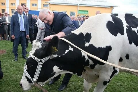 Лукашенко на ферме