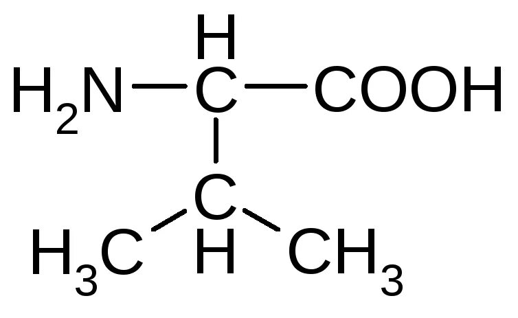 2 аминопентановая кислота. Изомерия аминопентановой кислоты. Структурная формула 2-аминопентановой кислоты. 2 аминопентановая кислота. 4 аминопентановая кислота формула.