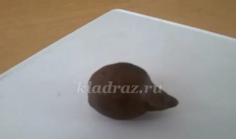 Лепка ежика из пластилина в старшей группе