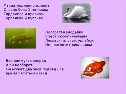 Будто плыву