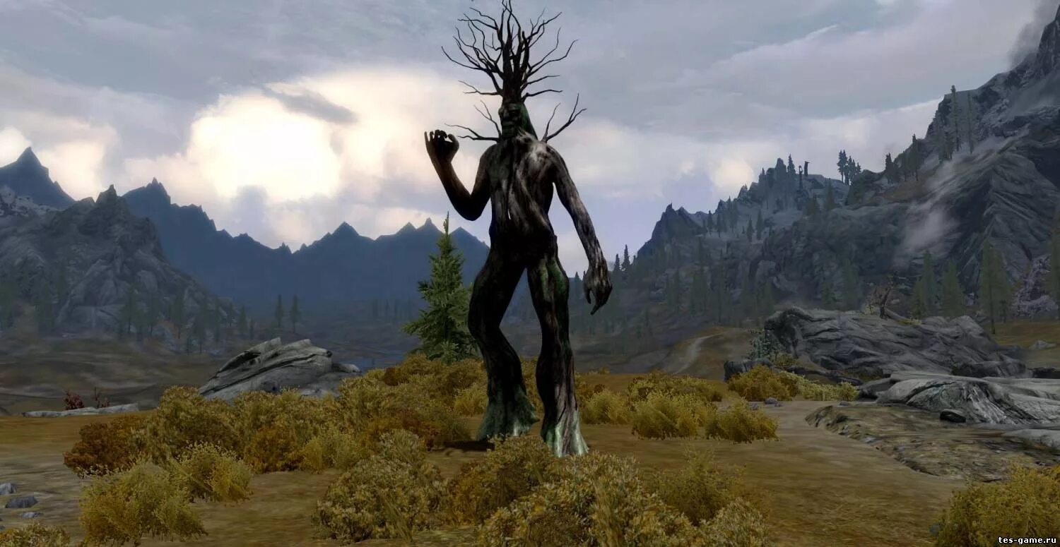 Skyrim elder scrolls mod. The Elder Scrolls v Skyrim Лесной Энт. The Elder Scrolls 5 моды. Сейда нин TESO.