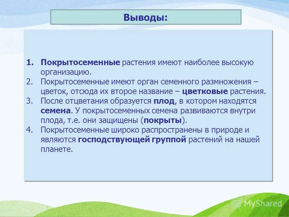Отдел покрытосеменные общая характеристика. Покрытосеменные растения 6 класс. Причины господства покрытосеменных растений на земле. Господствующее положение покрытосеменных. Господствующее положение покрытосеменных.