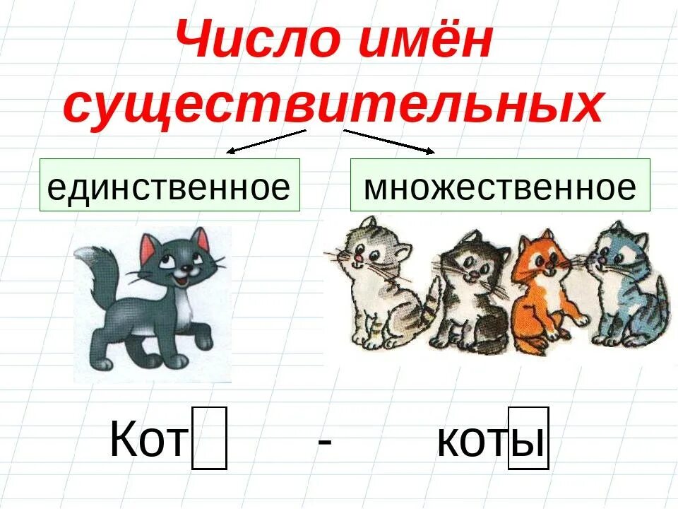 Единственное и множественное число имени существительного 2 класс. Имя существительное единственное и множественное число 2 класс. Существительные единственного и множественного числа. Множественное число имен существительных. Потемки единственное или множественное