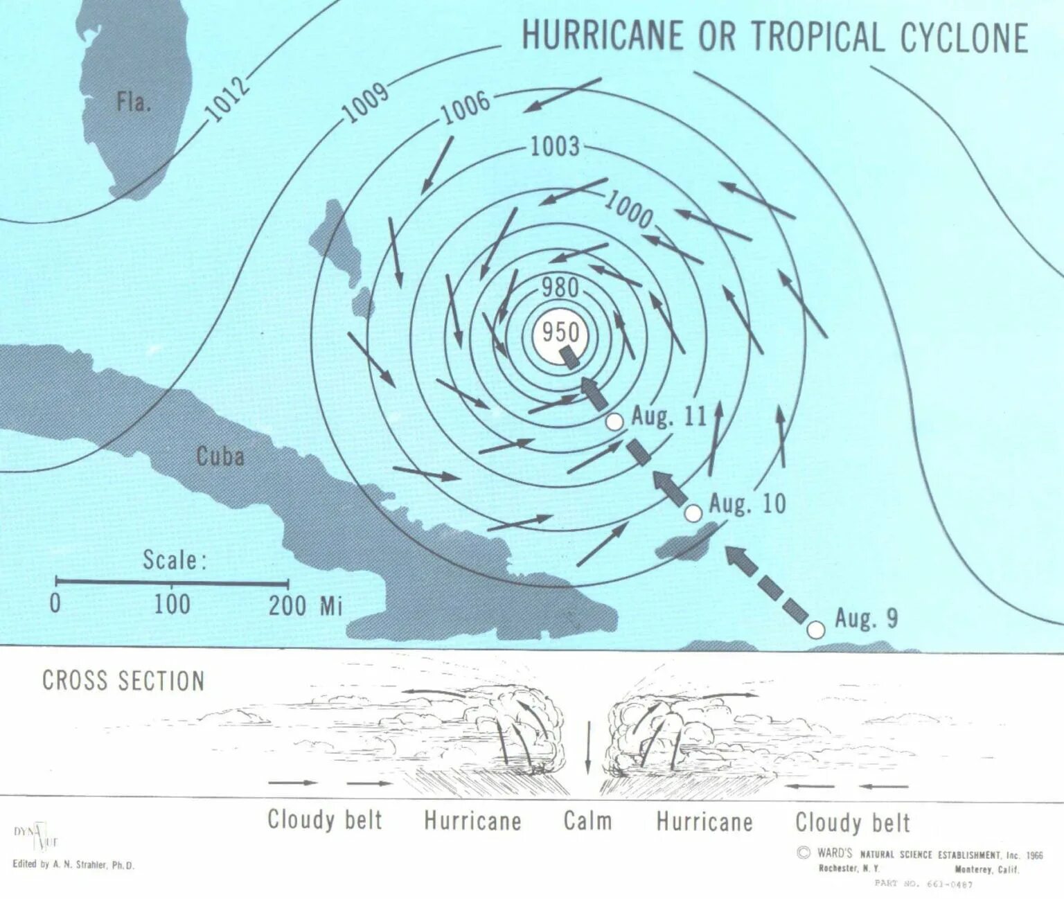 Схема тайфуна. Карта тропических циклонов. Тайфун схема образования. Циклон график. Расхождение с тропическим циклоном.