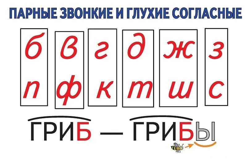 Наглядности для начальных классов. Парные согласные звонкие и глухие таблица. Наглядный материал для начальной школы. Наглядный материал для 1 класса. Карточки парные на конце