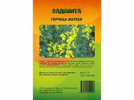 Какой сидерат лучше горчица белая или желтая