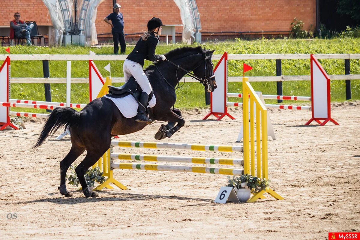 Конный спорт. Хикстед лошадь. Юсупов спортсмен конкур. Конкур. Екатерина бойко конкур.