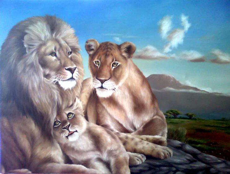 Семья Львов. Львы семья. Львиная семья картина.