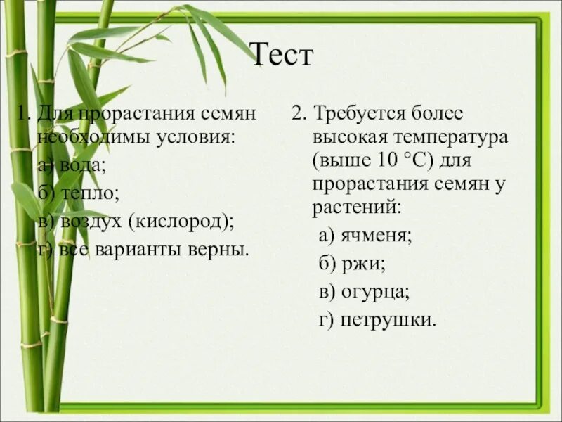 Тесты по теме растение с ответами
