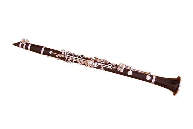 Гобой труба кларнет. Гобой vs кларнет. Габон духовой инструмент. Кларнет музыкальный инструмент. Деревянные духовые инструменты габот.