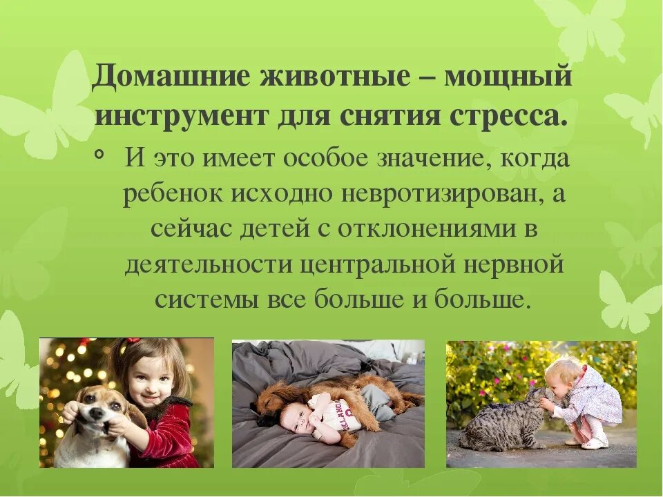 Как ткани влияют на животных. Как животные влияют на воспитание детей. как влияют домашние животные на здоровье человека.
