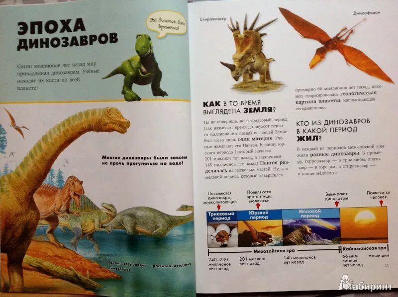 Динозавр читать сказку. Динозавры. энциклопедия для детей. динозавры удивительная энциклопедия. книга про динозавров для детей. книжка про динозавров для малышей.