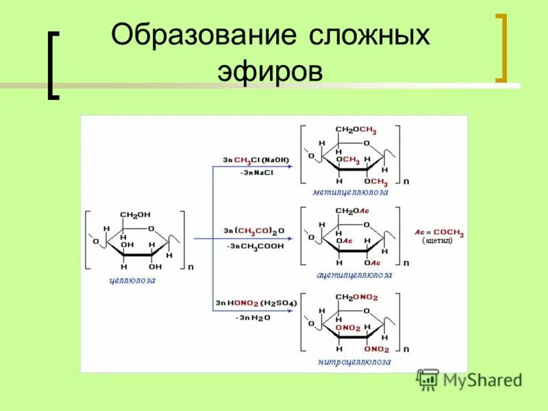 Хим свойства сахарозы. Образование сложных эфиров из сахарозы. Дисахариды образование сложных эфиров. Образование сложных эфиров крахмала формула. Образование сложных эфиров из дисахаридов.