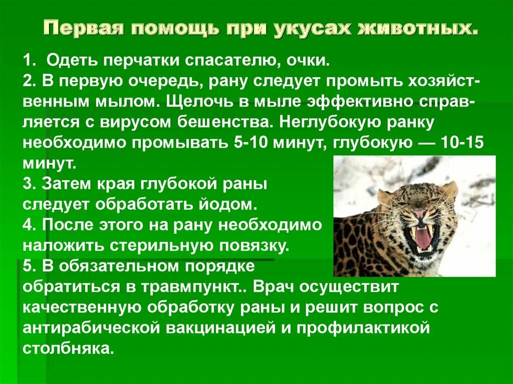 Оказание первой помощи после укуса диких животных. Памятка первая помощь при укусах животных. Оказание первой медицинской помощи при укусах животных. Первая помощь при УКАС животных. Оказание первой помощи при укусах животными..