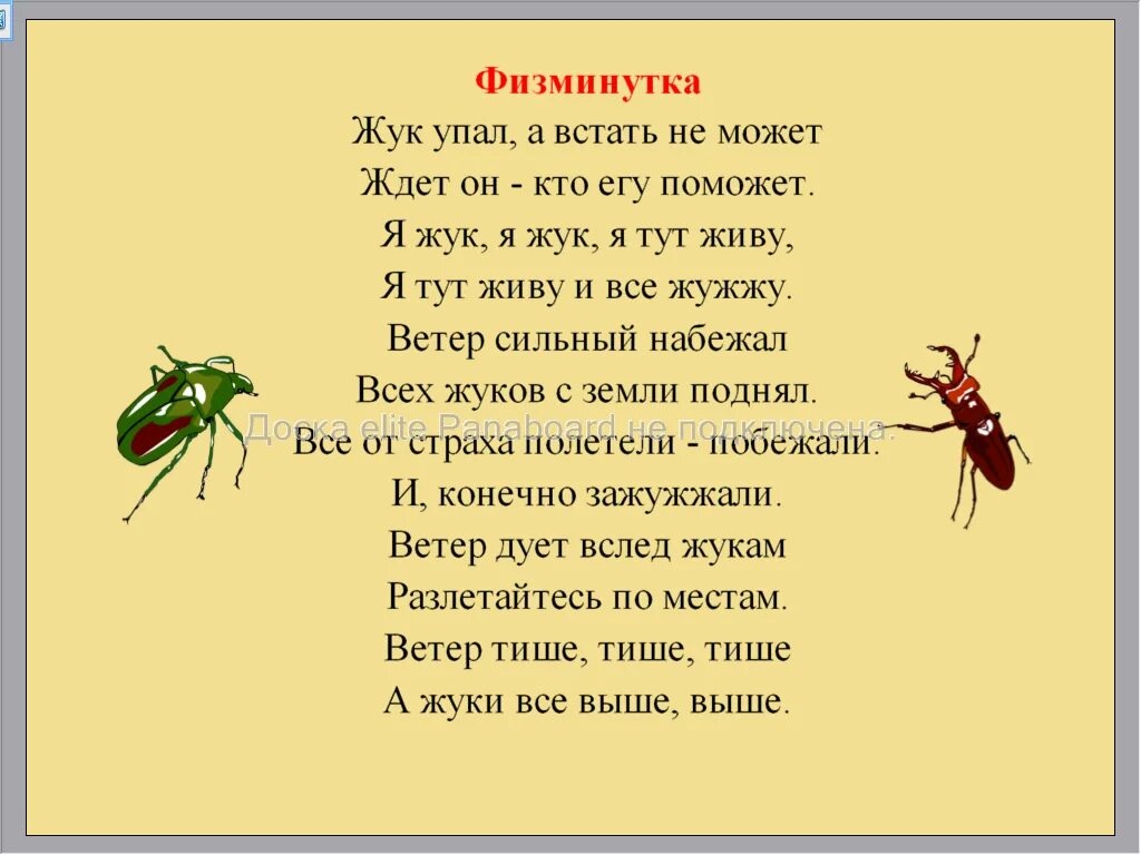 Стихи про насекомых. Детские стихи про насекомых. Стихи про насекомых для детей. Стихи про насекомых для дошкольников. Как у наших ворот муха песенки поет
