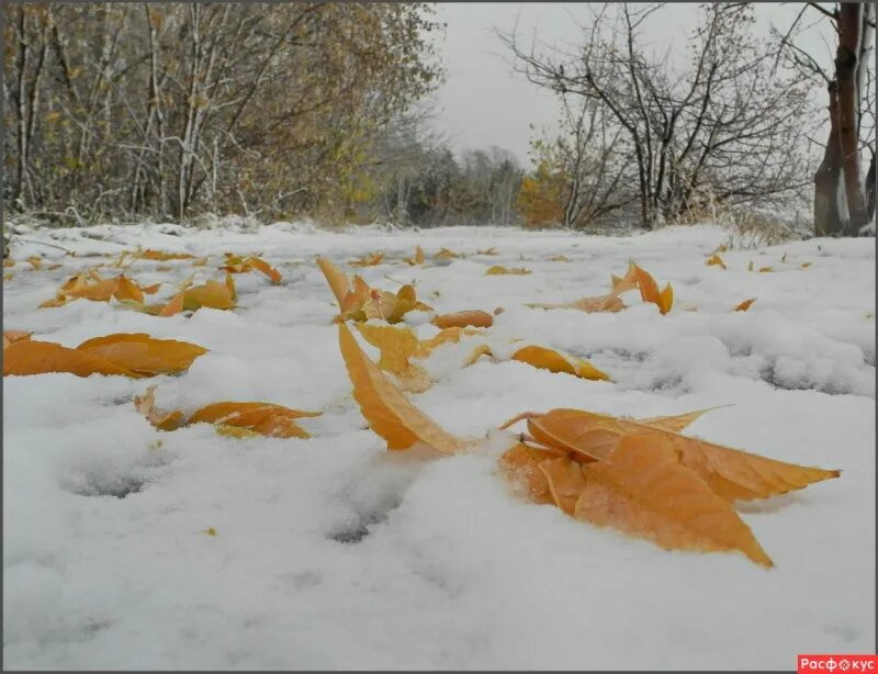 Здравствуй поздняя осень. Осень первый снег. С последним снежным днем осени. Поздняя осень конец октября. Зима кончается картинки