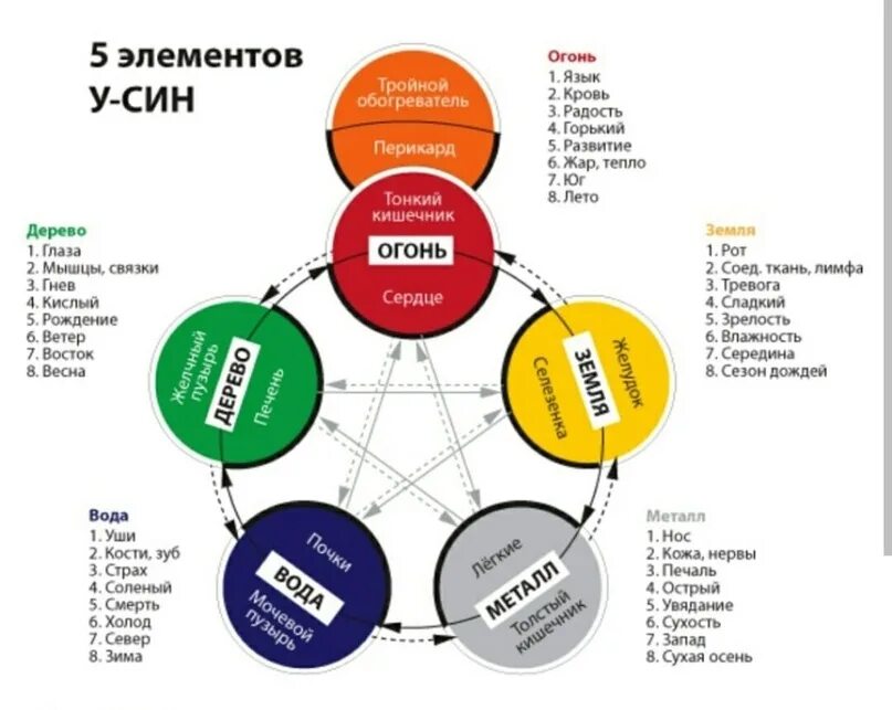 Система усин 5 стихий. Круг у-син 5 элементов. Круг у-син 5 элементов по системе. Система цвета усин. У-син теория 5 первоэлементов.