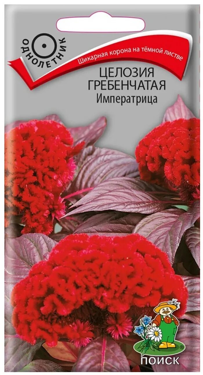 Целозия купить семена. Целозия Императрица (гребенчатая) семена. Целозия коралловый сад Гавриш семена. Целозия гребенчатая Императрица (цв) ("1) 0,1гр.. Цветок целозия гребенчатая Императрица.