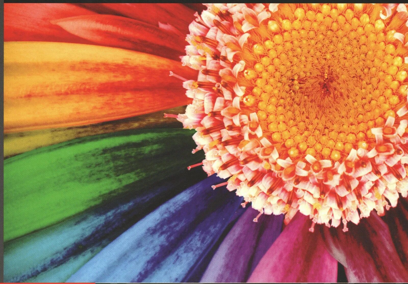 сказка разноцветные краски. сказочная абстракция. фон детский сад. рисунок на тему разноцветный мир. яркий город.