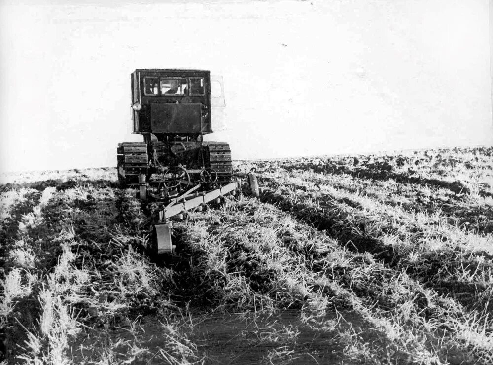 Целина начало год. 1954 Освоение целины. Целина 1954 Хрущев. Целина в Казахстане 1954. Освоение целинных и залежных земель в Казахстане.