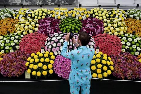 Открытие цветов