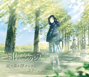 Kaori no chikara kaze no koe