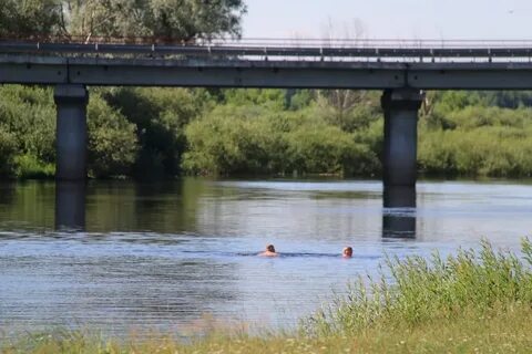 Уровень реки сож в славгороде