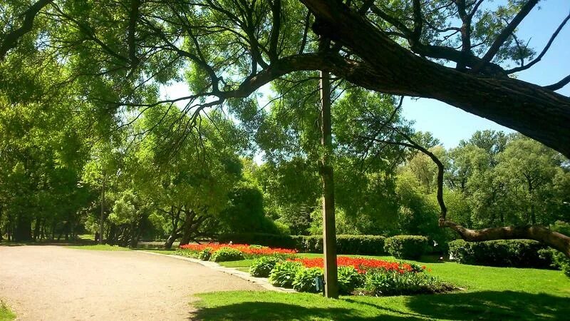 Парк екатерингоф история. Екатерингофский парк осень в санкт-петербурге. Парк екатерингоф. Пейзажный парк красногвардейский район. Екатерингофский парк питер.