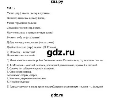 Русский язык 7 класс разумовская 467