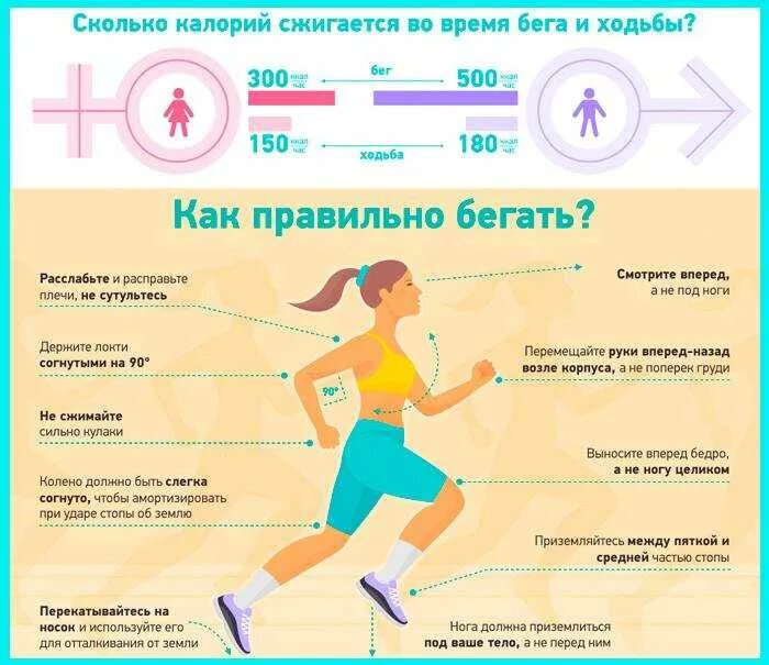 Сколько ккал сжигает ходьба. Правильный бег. бег для похудения. как правильно бегать. ходьба для похудения для женщин.