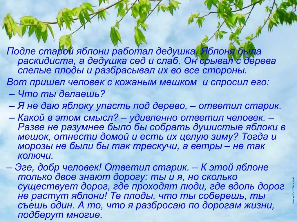 История одной яблоньки. Рассказ старик и яблони. Изложение Дикая Яблонька. Толстой старик и яблони. Старик и яблони толстой читать.