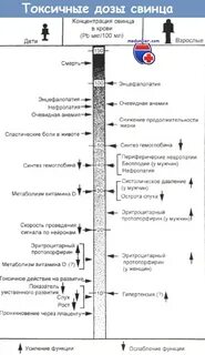 Отравление свинцом как называется