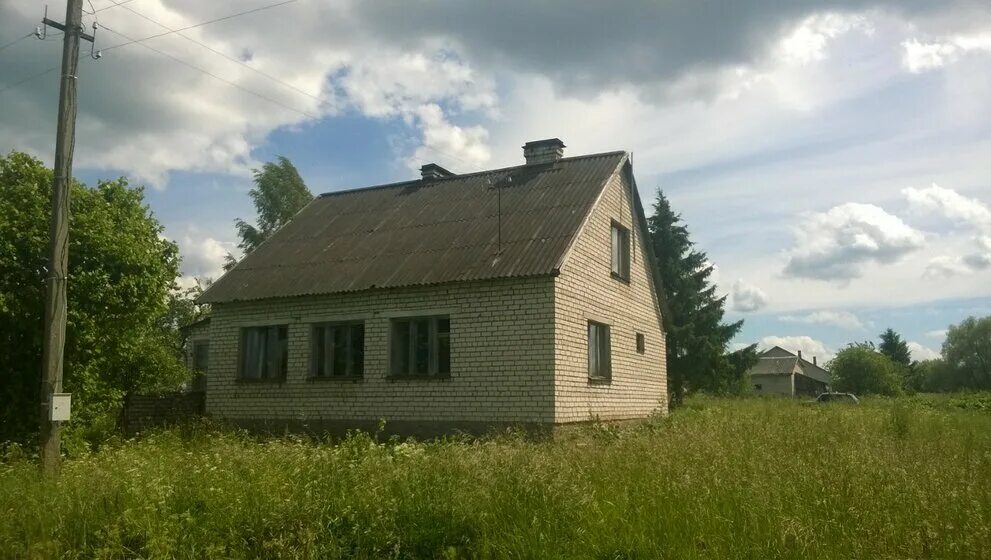 хутор в белоруссии на берегу реки. хутор в лесу псковская область. домик на хуторе. остров псковской области дома. бутырьки плюсский район.