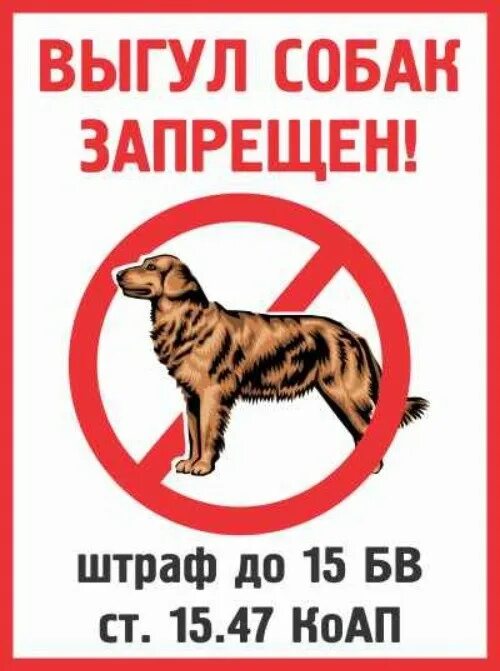 Объявление выгул собак. Выгул собак запрещен. запрещено выгуливать собак. табличка выгул собак. табличка выгул собак запрещен.