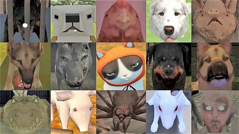 Scary pet