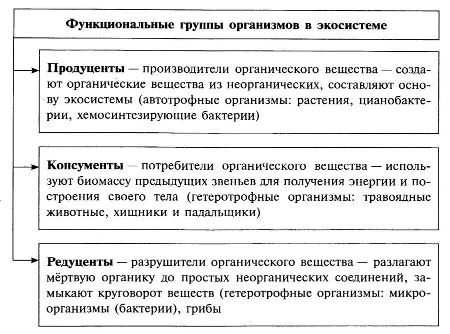 Дать определение продуценты. Функциональные группы организмов в экосистеме. Функциональные группы экосистемы. Функциональные группы в экосистеме таблица. Функциональные группы организмов в экосистеме таблица.